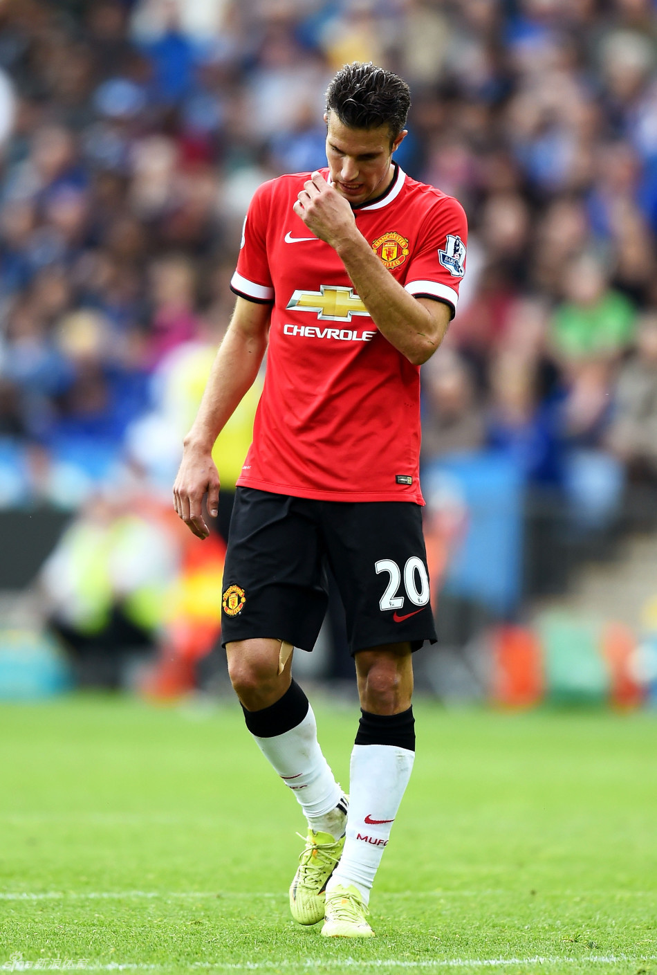 李磊谈足协杯夺冠：老将终会落幕，所以我们特别珍惜这个机会（李磊谈足协杯夺冠：老将终有谢幕日，我们尤为珍惜这次机会）